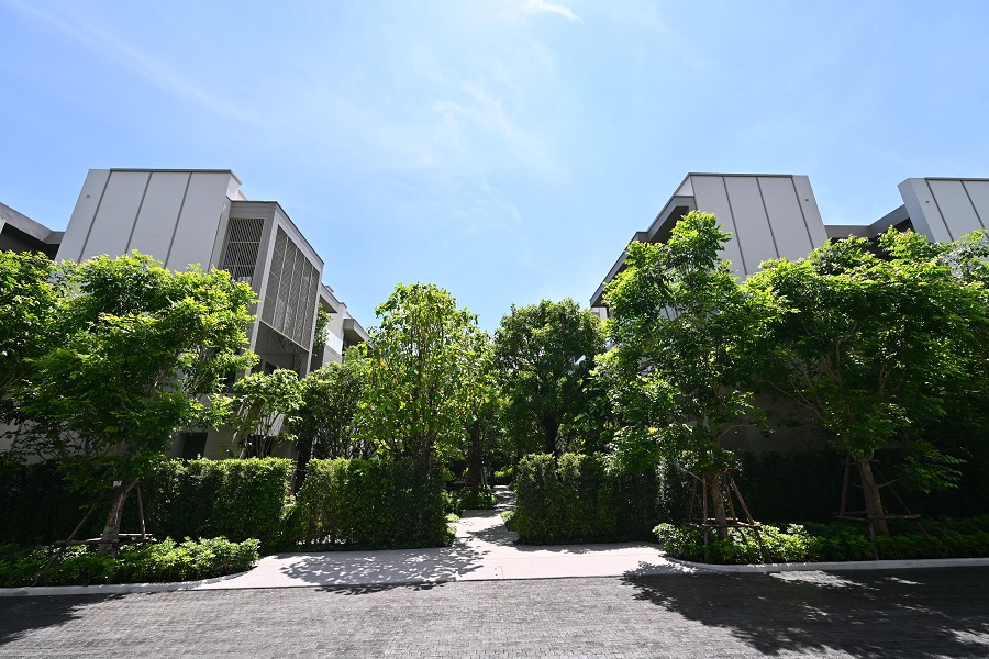 BB_20250512_006