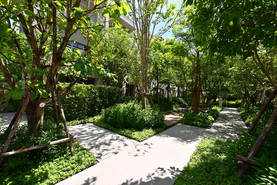 BB_20250516_055